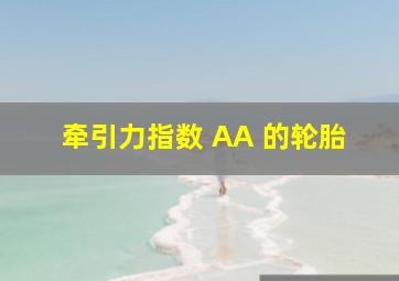 牵引力指数 AA 的轮胎